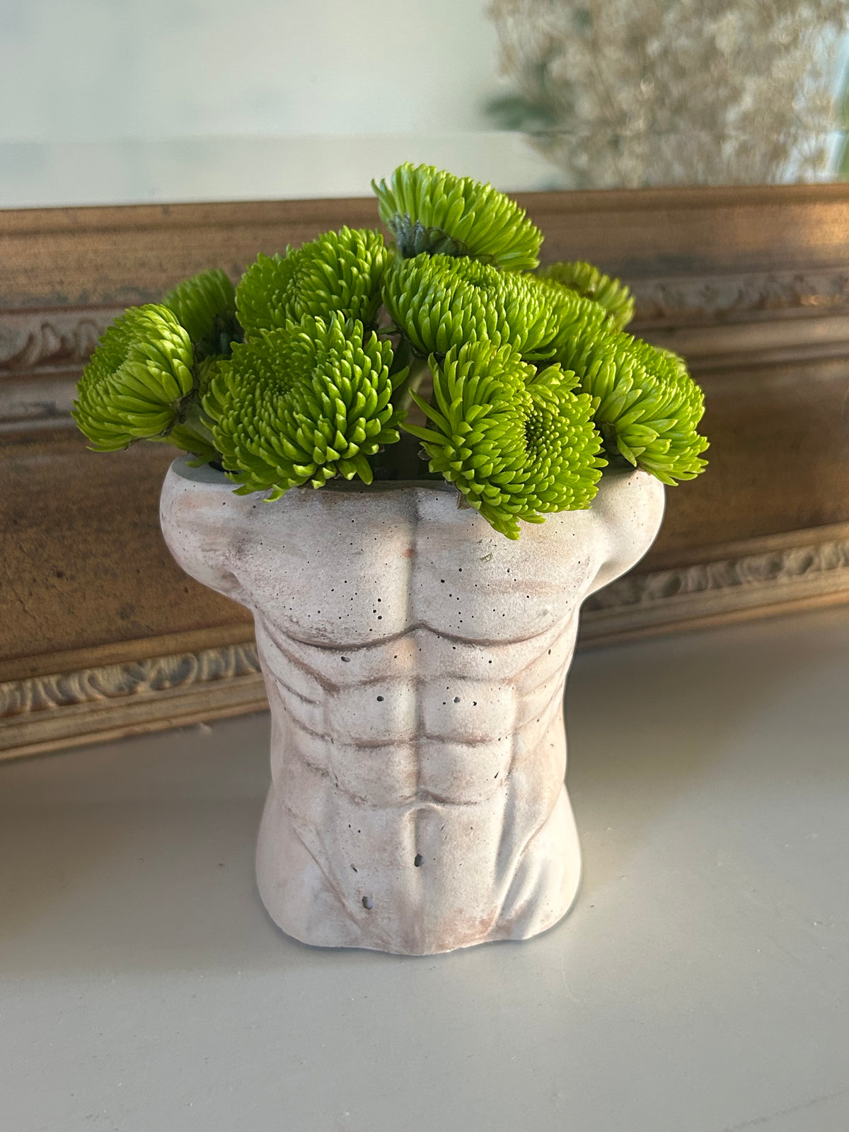 Plant Daddy