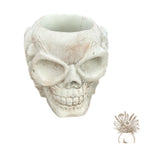 Hear/Speak/See No Evil Skull